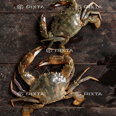 Soft Shell Crab 100g-120g 1