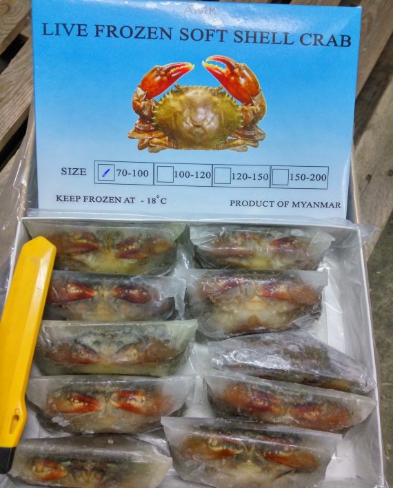 Soft Shell Crab 100g-120g 5