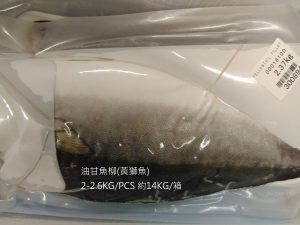FH0000油甘魚01