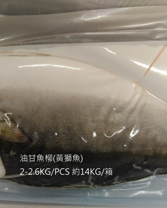 FH0000油甘魚01