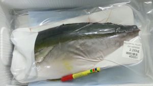 FH0000油甘魚03