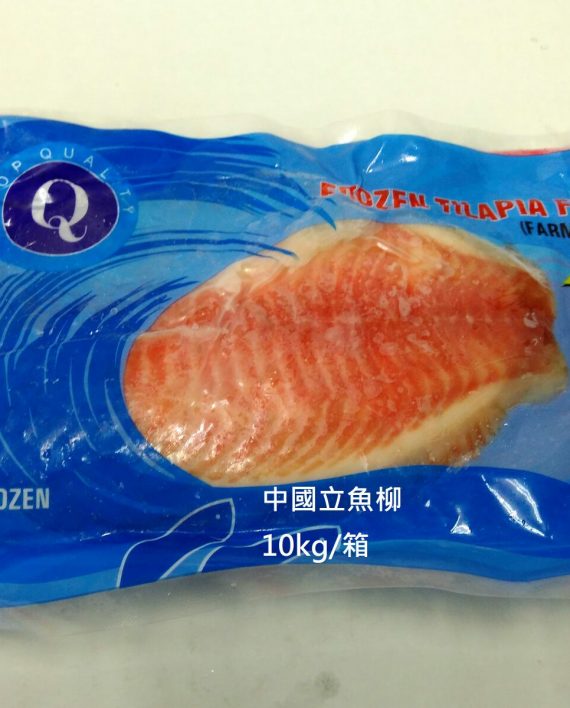 FT0007 中國立魚柳01