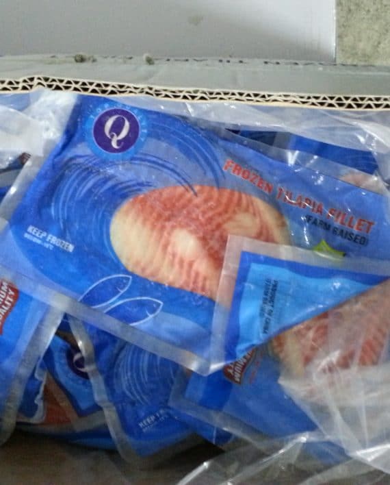 FT0007 中國立魚柳02