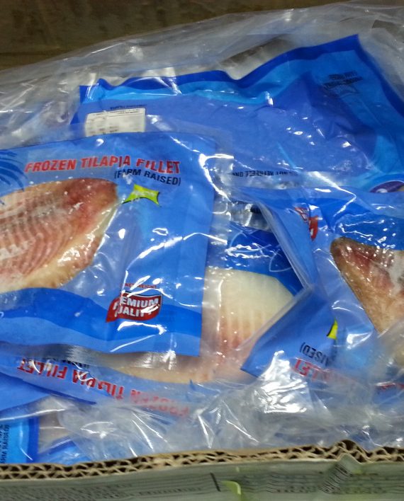 FT0007 中國立魚柳03